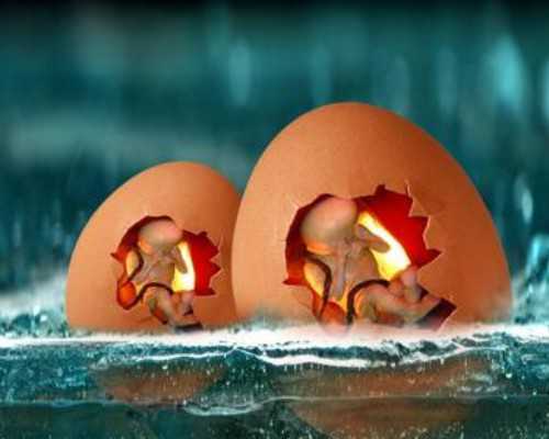 泰国冻卵能否自己取走？,泰国iBaby医院冻卵的流程以及费用